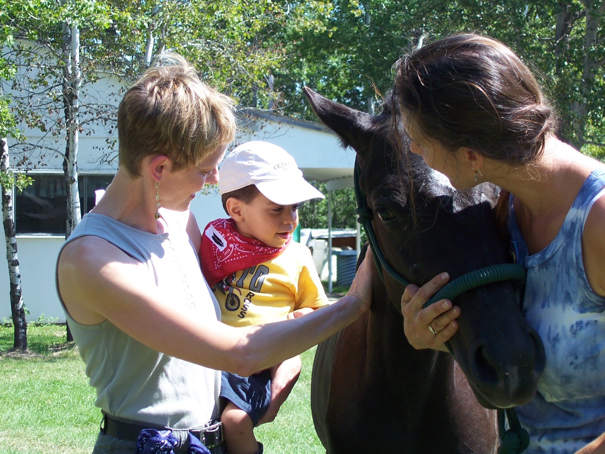 Scared child reaches out and horse finds comfort in therapist to communicate the child's fear