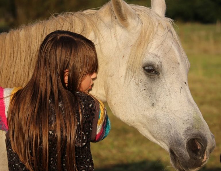 girl hugging horse